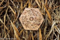 Desert-hexagon-review-board-thinking-monk-wooden-catan-002